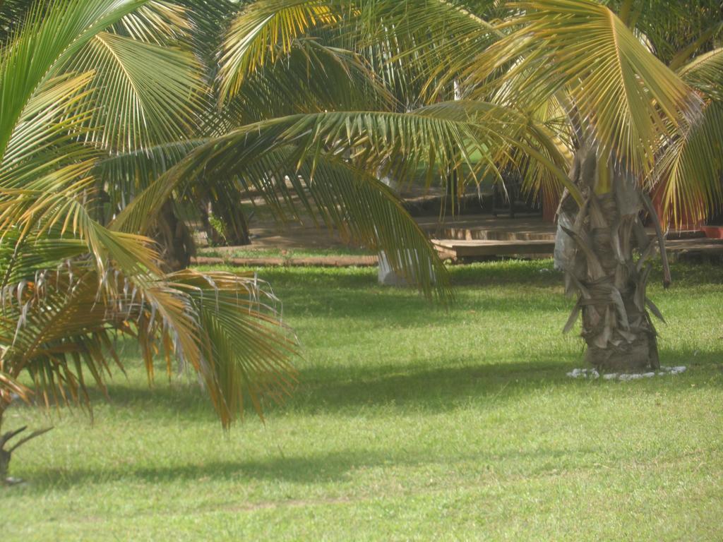 Legacy Tribe Beach Resort Prampram Экстерьер фото